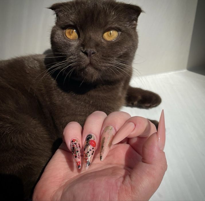 Продаются шикарные котята