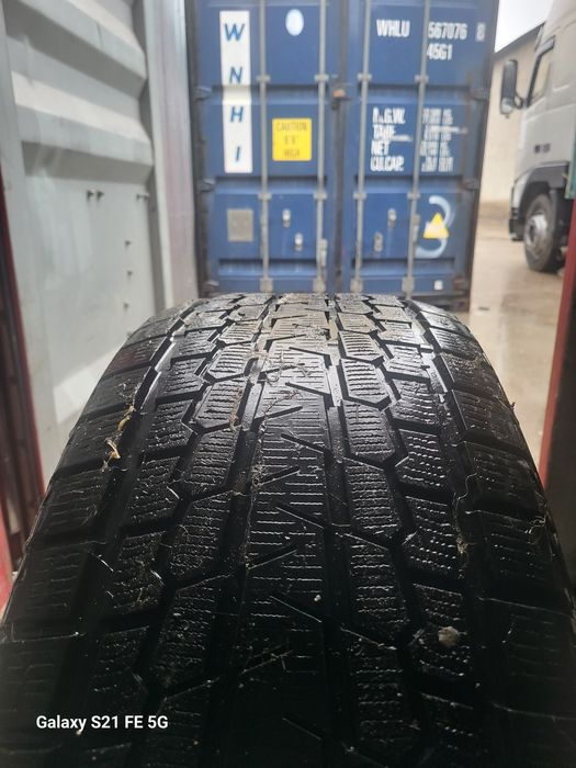 Балон зимны саст