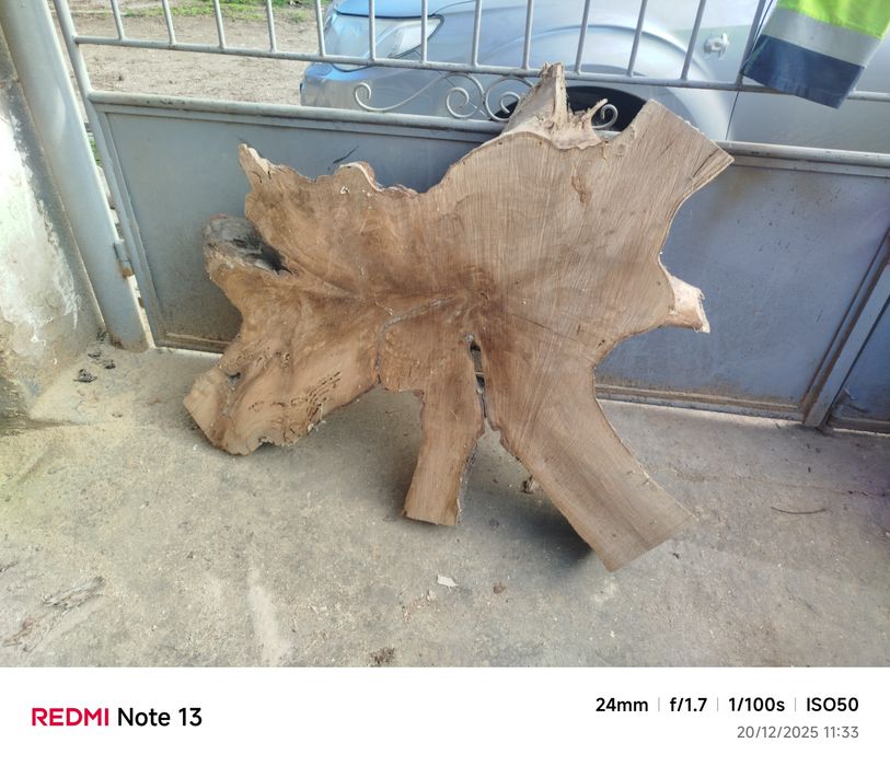 Шайба от корен от орех