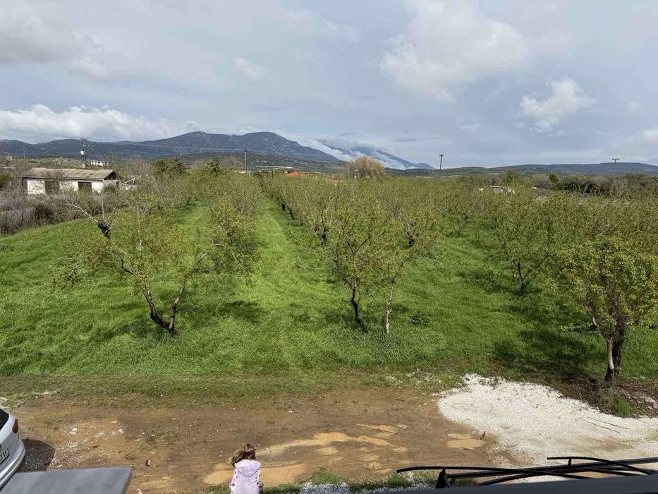 Продавам/ отдавам под наем апартамент в Паралия Офринио