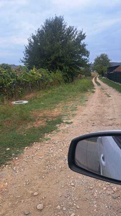 Mărăcineni Argeșelu teren 3500m2
