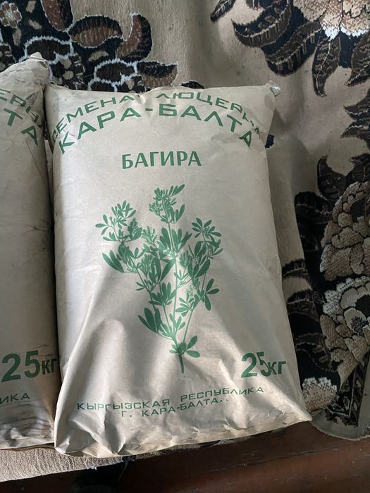 Жонышка урыгы. Схот 98%