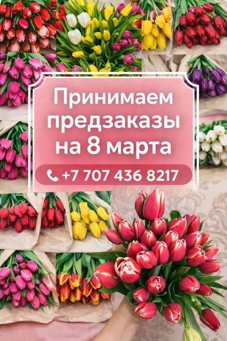 Продаём тюльпаны отличного качество!!!