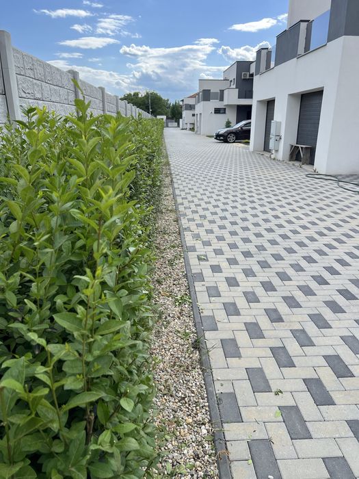 Casa vanzare 5 camere 194 mp