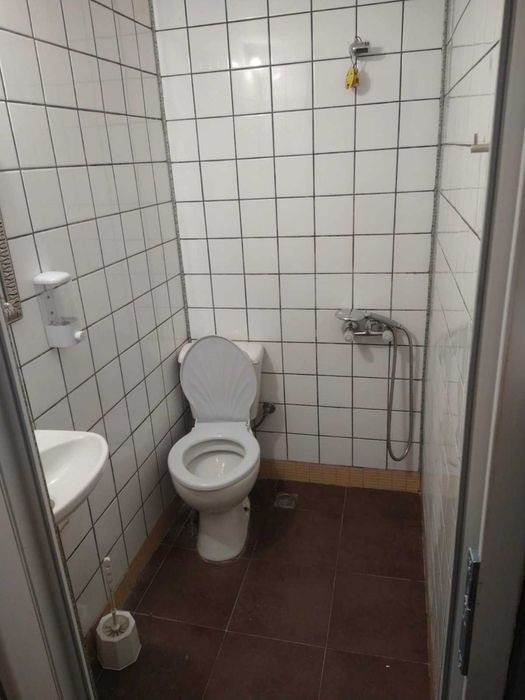 Стая под наем за сезона