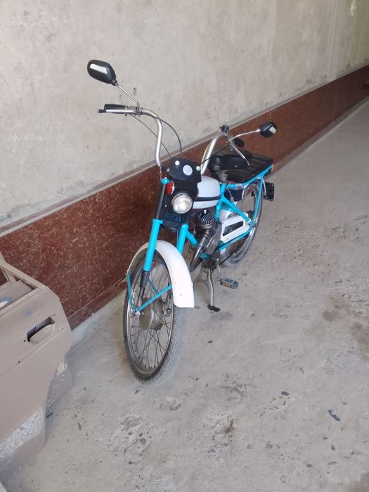 Velamaped 1990hrididiid