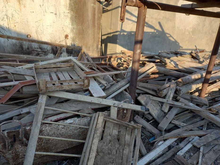 Отын агаштар, тегын