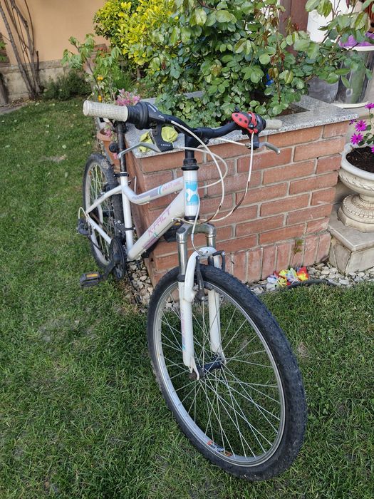 Bicicleta x fact 24 fete