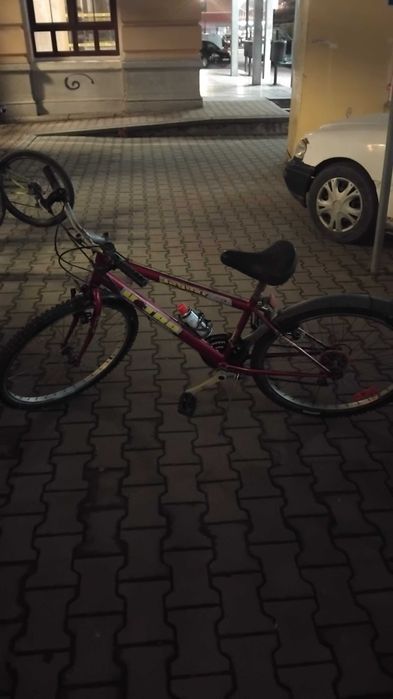 Колело сичко му работи