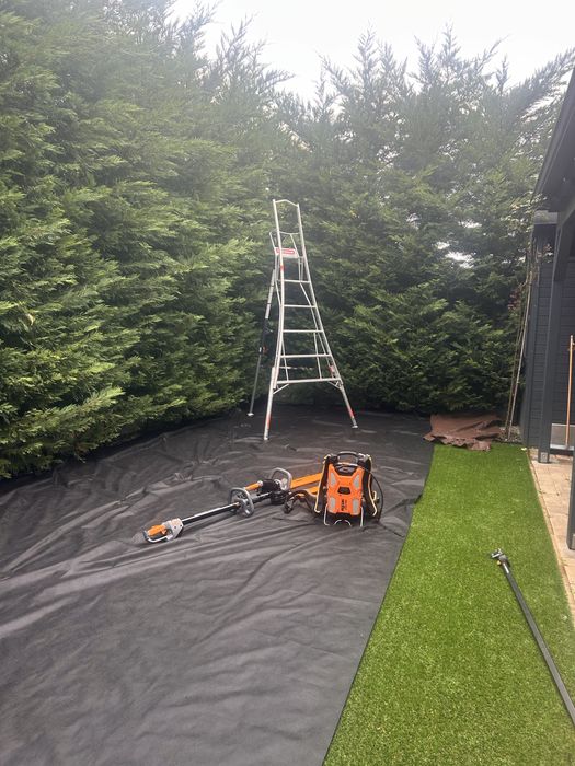 Intretinere Spatii Verzi | Tratamente plante | Gazon Rulou|Artificial