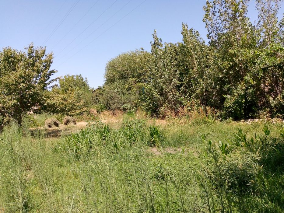 Чархинда 15 сот. 2хон.ховли