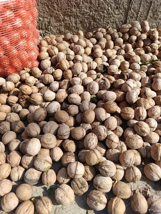 Орехи домашние срочно