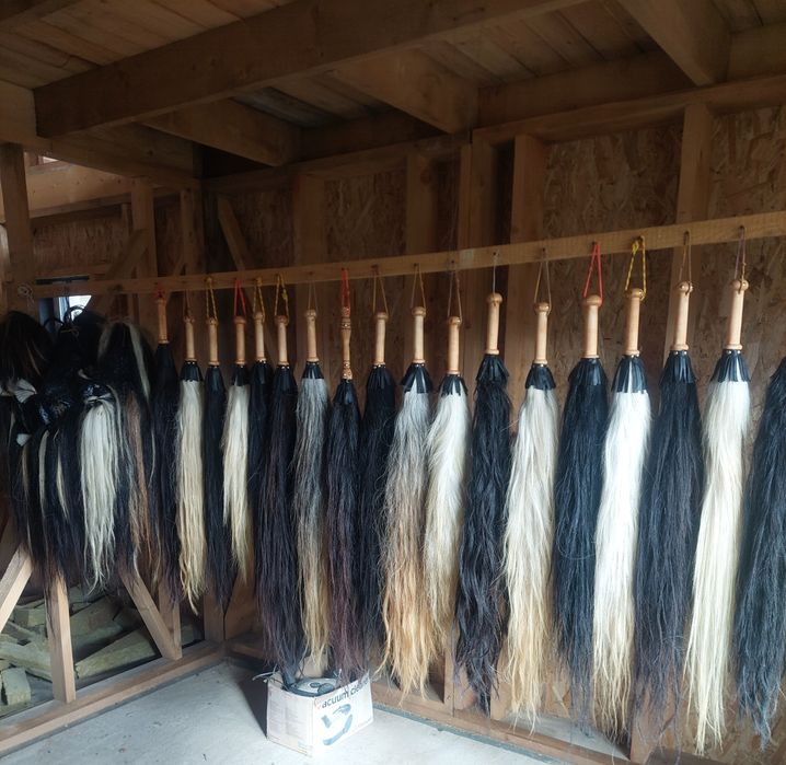 Pleaftura, coada de cal pentru urs sau badanari