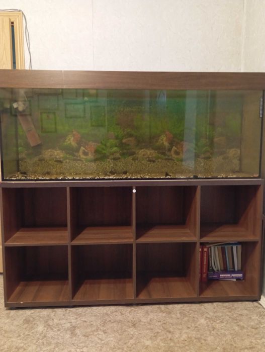 Продается аквариум 500 литров на тумбе.