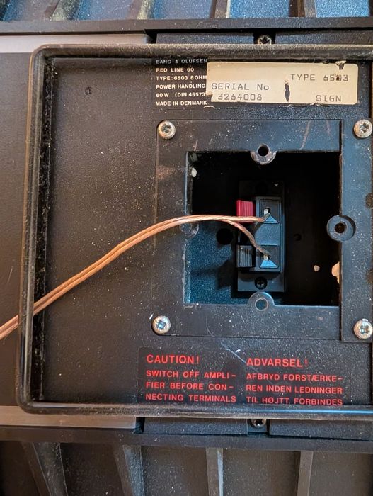 Boxe Bang&Olufsen Redline 60