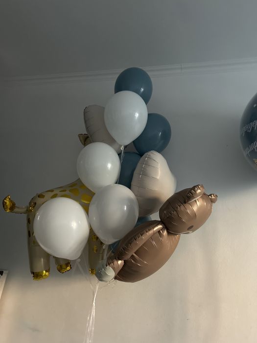 Шары для выпеска , для Двойня мальчиков