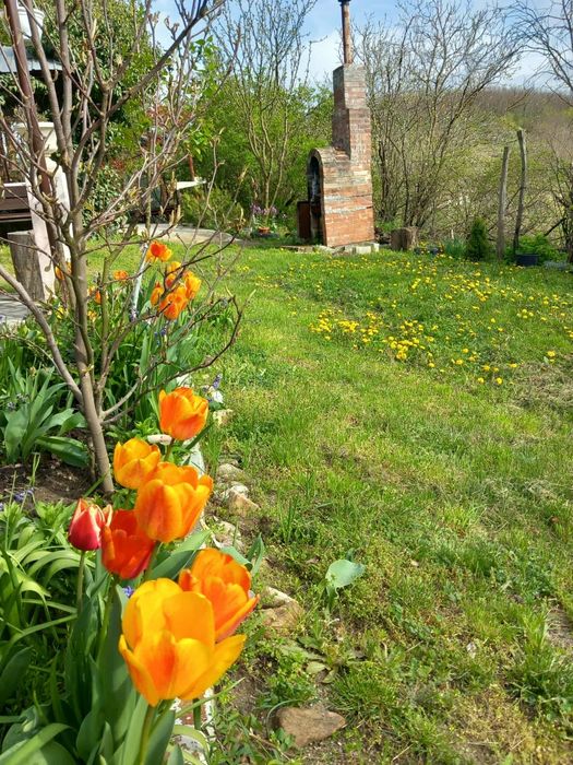 Casa de vanzare cu pivnita.