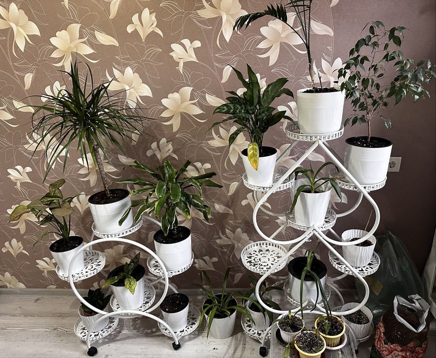 Этажерки вместе с растениями