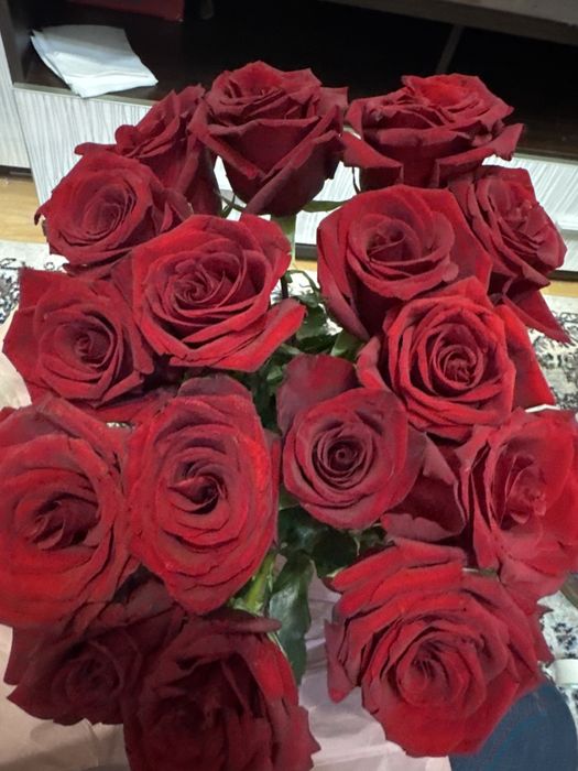 Красн роза 70см 15шт