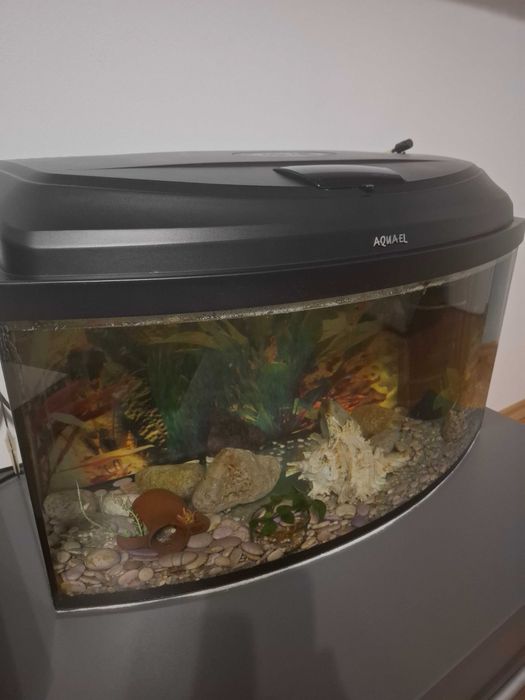 Оборудван аквариум 60 л.