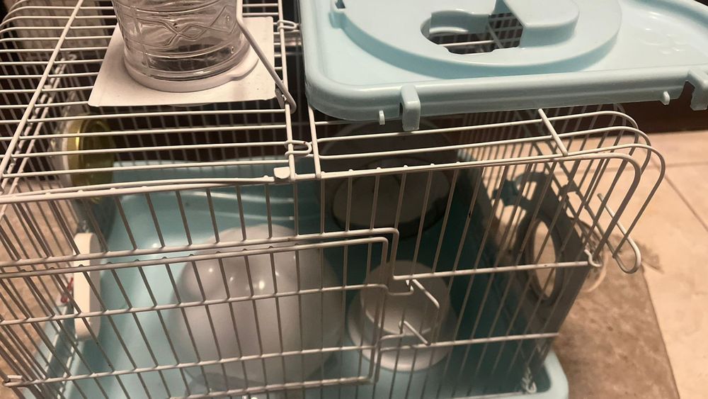 Клетка Хомяка хомяк