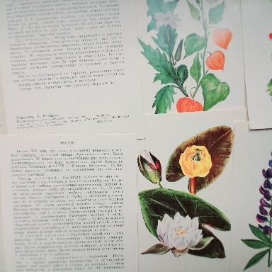 Открытки юному ботанику