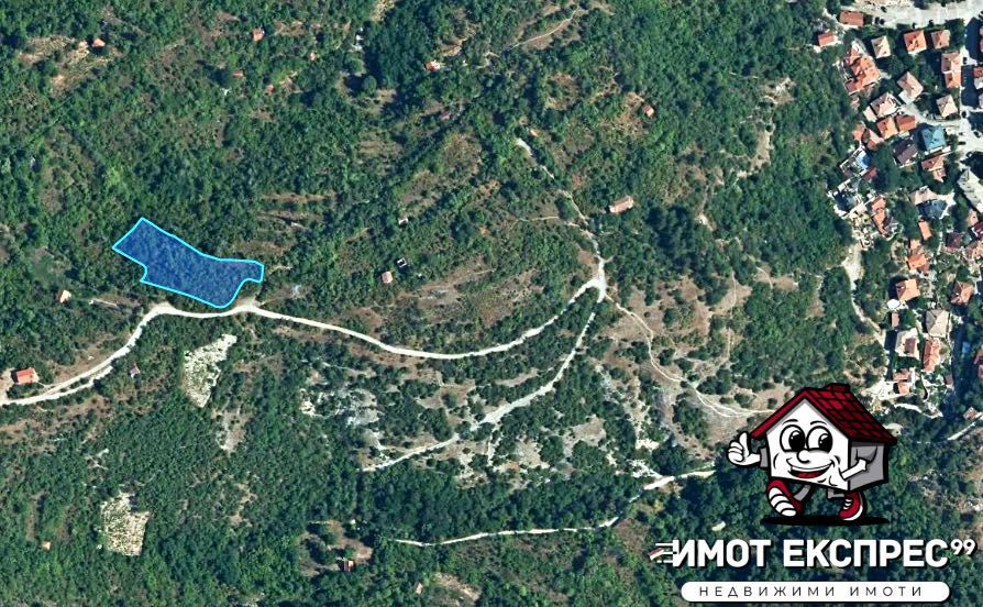 Продава се Парцел в Асеновград - 2000 кв.м за 8 €/кв.м - Снимка #2
