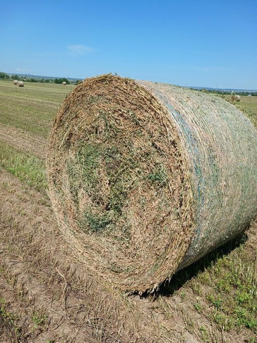 Baloți rotunzi de lucernă