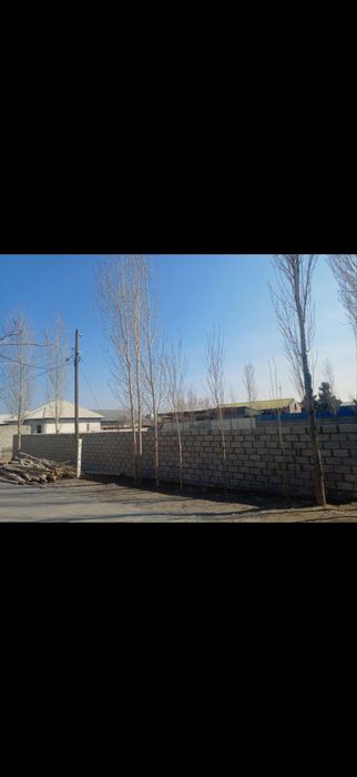 uyjoy qoqon shaxarda