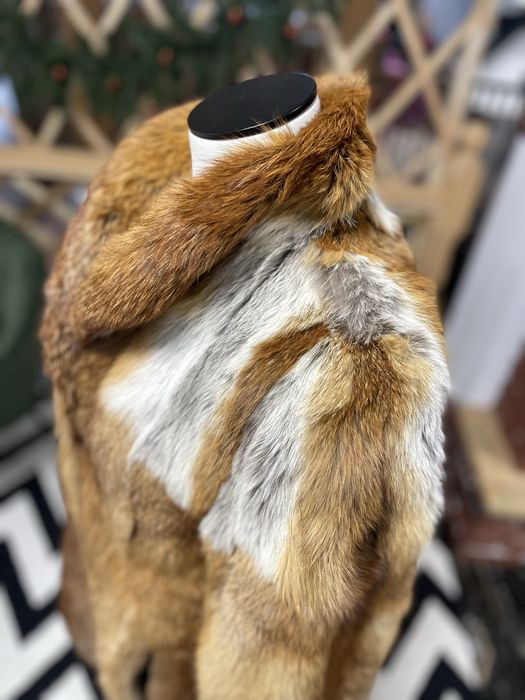 Blana naturala de vulpe roscata