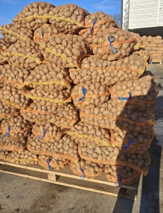 Cartofii de samanta buna pentru animale