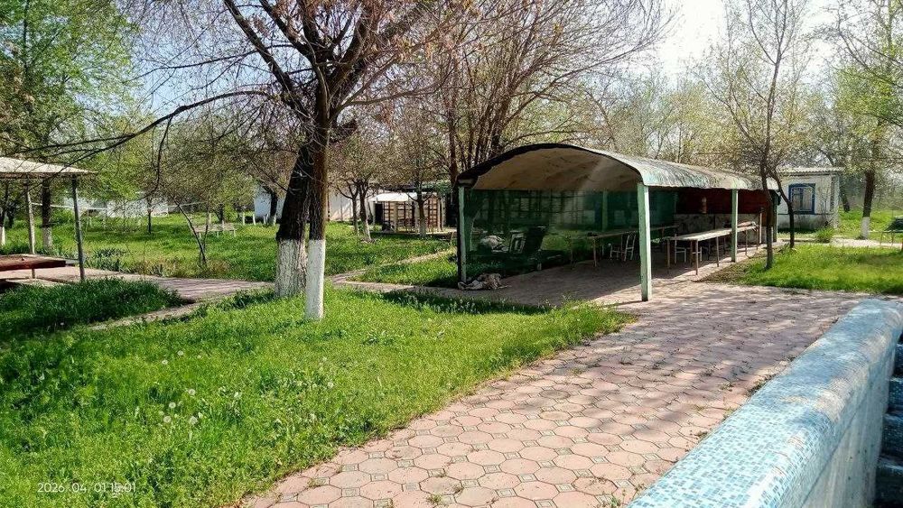 Готовая база отдыха в Сырдарье, 1 га,