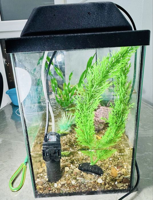 Аквариум 38х31х21 для рыб