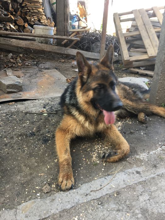 Бебешки комплект 80 размер