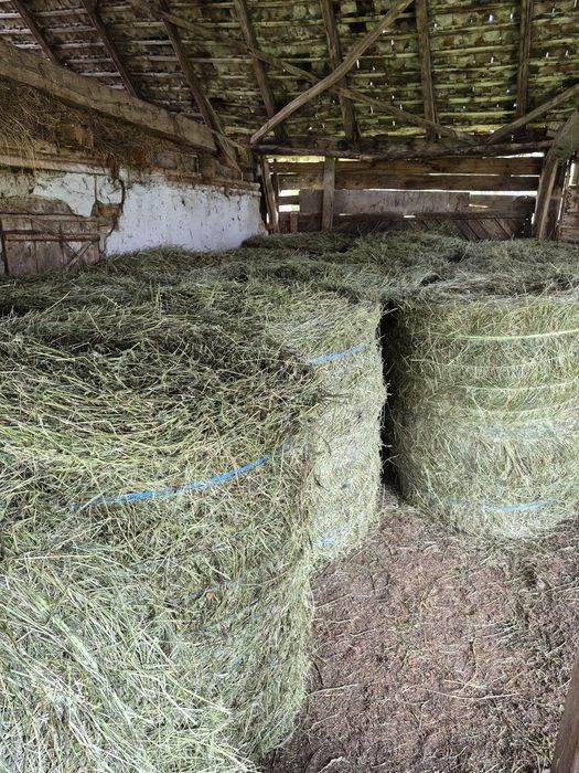 Baloti de lucerna cu certificat ECOLOGIC