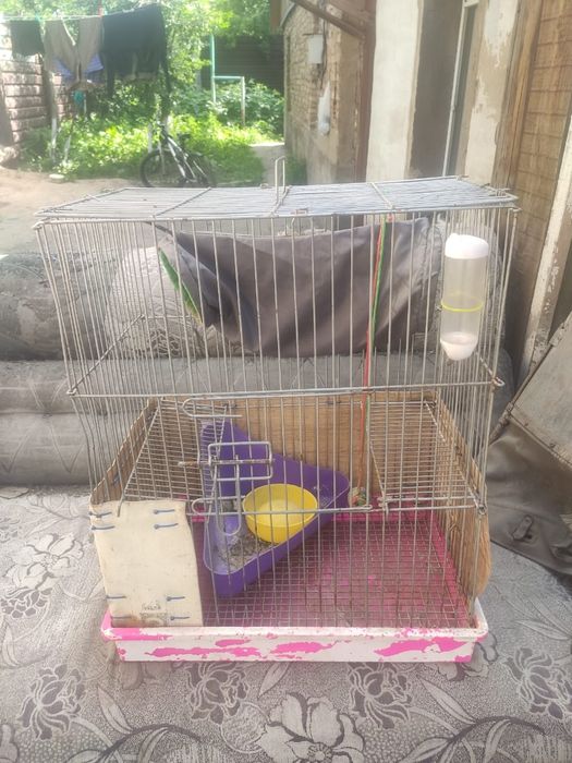 Клетка для птиц или хорька