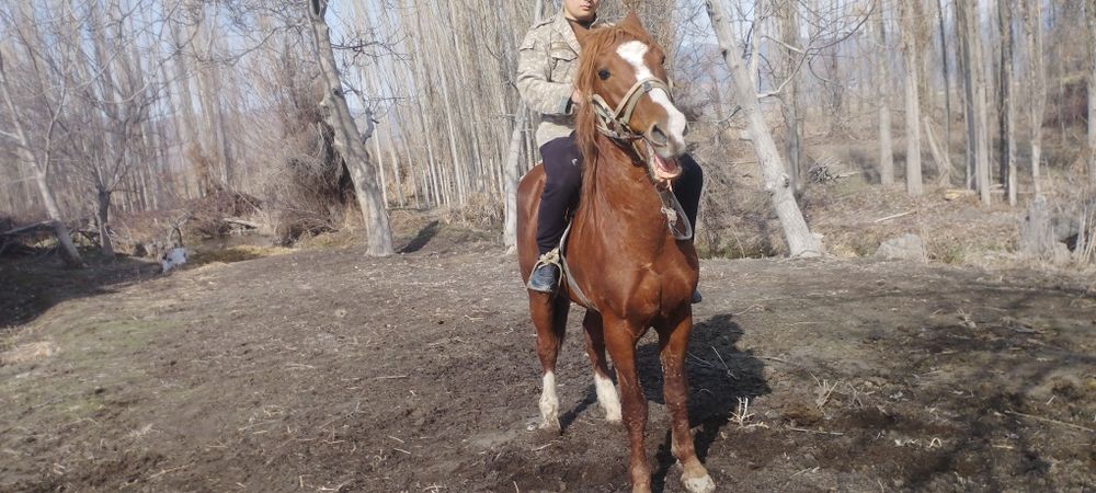 От сотилади зудлик Билан