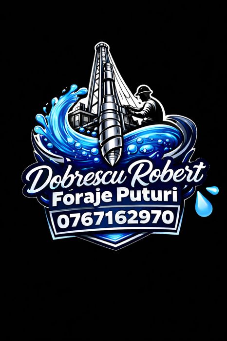 Foraje puturi ,denisipari,prelungiri , piloni , decolmatari