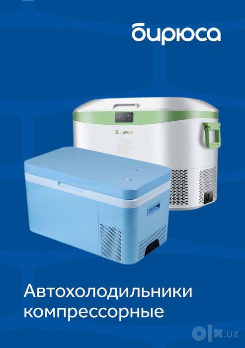 Автохолодильник компрессорный инверторный Бирюса