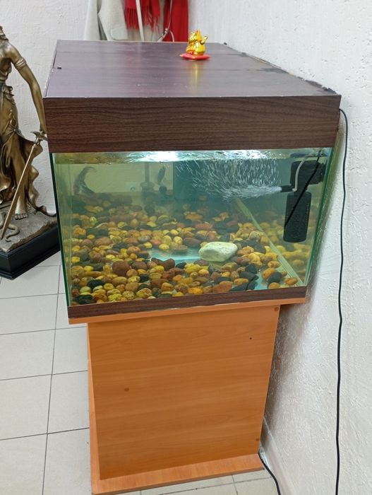 СРОЧНАЯ ПРОДАЖА! Аквариумная установка 320Л