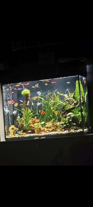 Аквариум с капак  120л