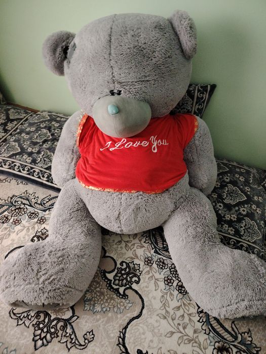 Tediye soladi narxi 120000 yana keliwamiz