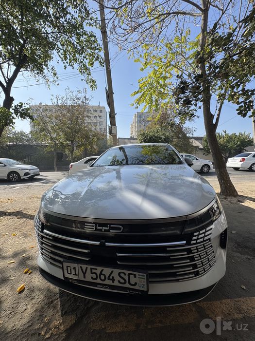 Byd chazor 4 pazitsya