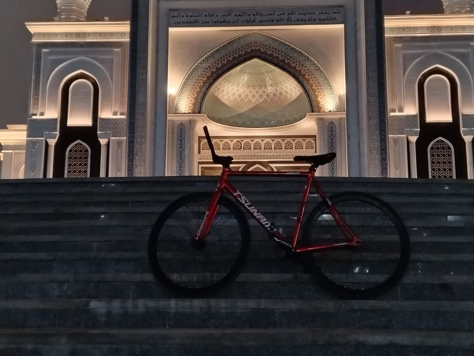 Tsunami snm100 красный цвет