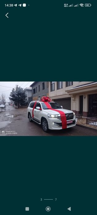 Bantik lena Avtobantik,бант Автобант лента