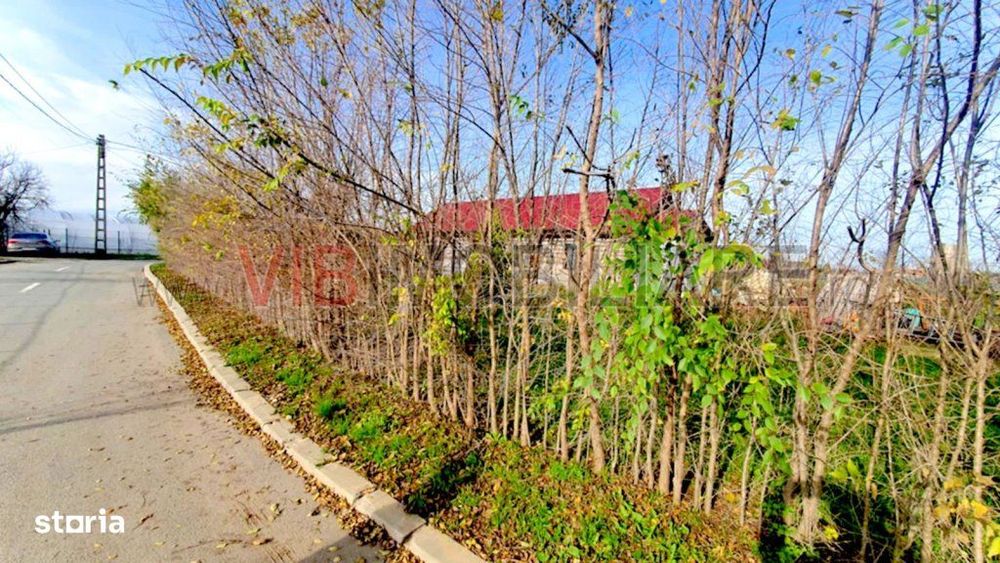 Casa cu teren generos in Mosneni – oportunitate excelenta pentru locui