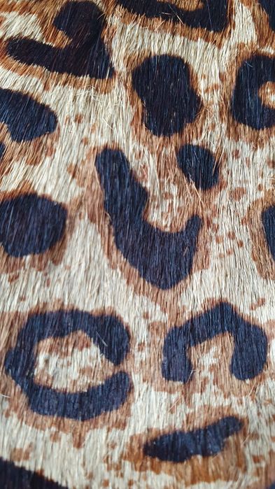 Botine Christian Louboutin