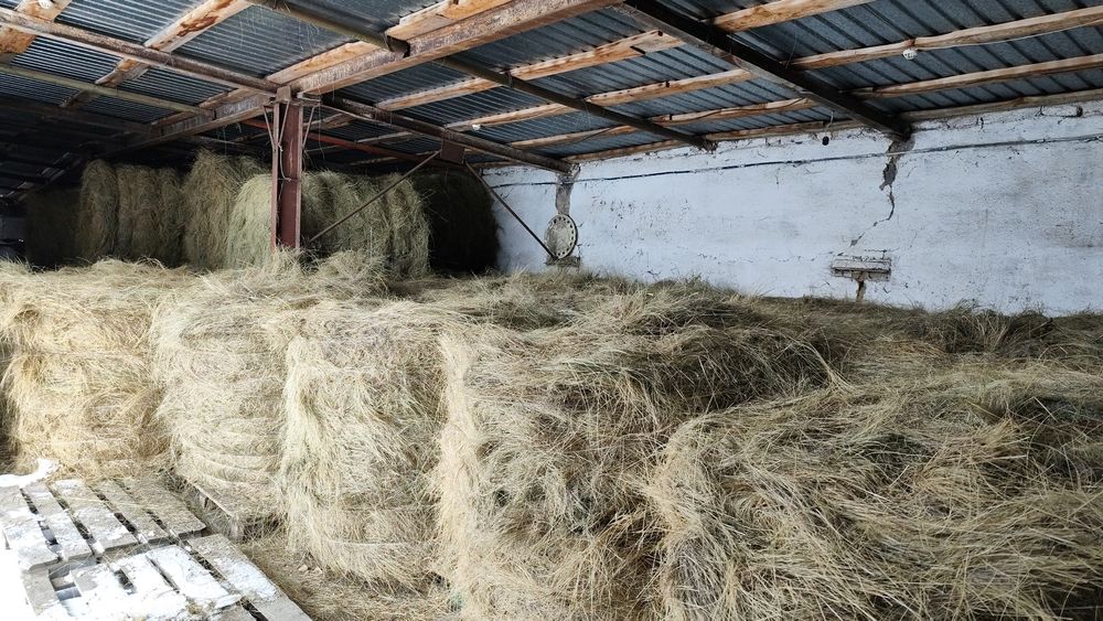 Продаётся сено в рулонах