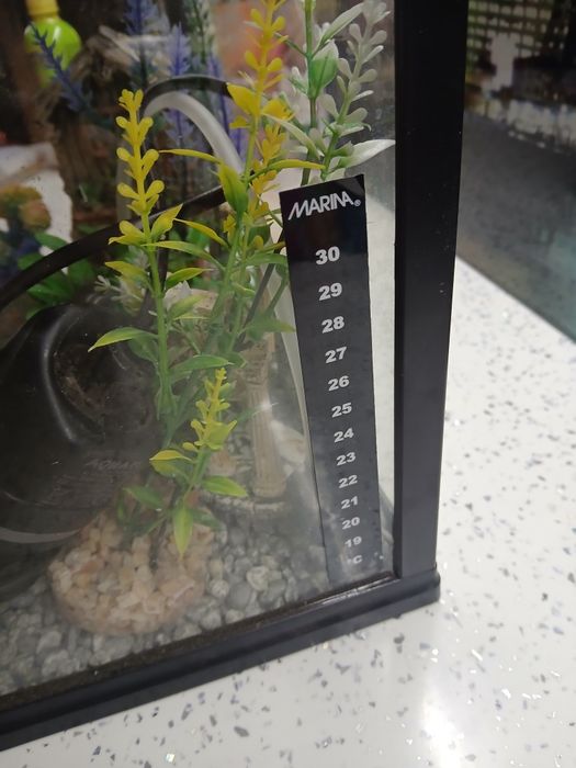 Аквариум 20 литра оборудван