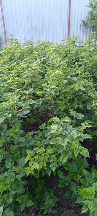 СРОЧНО!!!Продам дом на Комбинатском